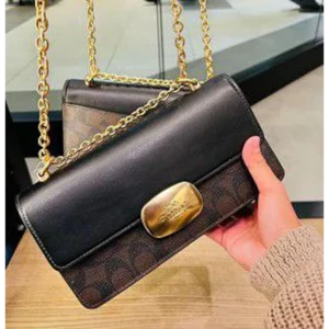 Coach Handbag For Women (LAB761) - stayhit.in