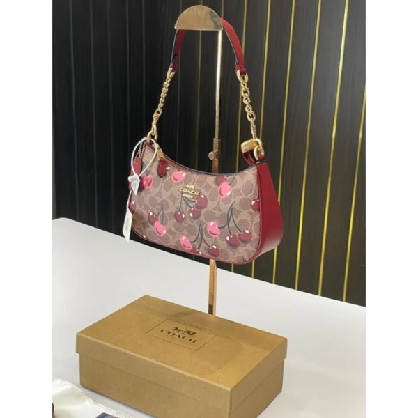 Elegant Coach Teri Hobo Bag Apricot Wine With Og Box For Women (BOT3995) - stayhit.in
