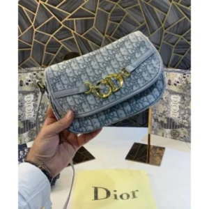 Luxury Christian Dior Handbag With Folding Box For Women (BOT2791) - stayhit.in