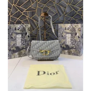 Luxury Christian Dior Handbag With Folding Box For Women (BOT2791) - stayhit.in