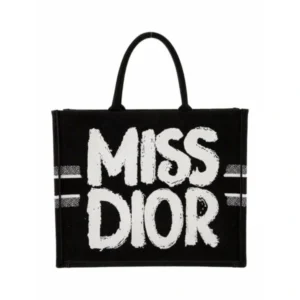 Luxury Christian Dior Tote Bag With Og Box For Women (BT265) - stayhit.in