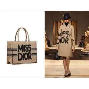 Luxury Christian Dior Tote Bag With Og Box For Women (BT267) - stayhit.in