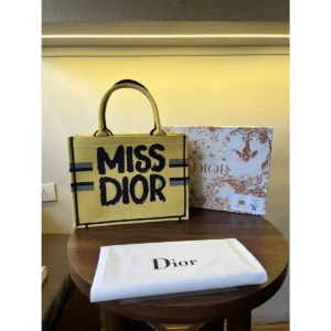 Luxury Christian Dior Tote Bag With Og Box For Women (BT268) - stayhit.in