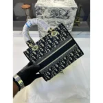 Luxury Dior Handbag With Og Box For Women (BOT3801) - stayhit.in