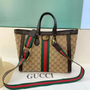 Luxury Gucci Gg Ophidia Bag For Women (BOT2643) - stayhit.in