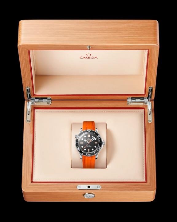 Luxury Omega Seamaster Diver Watch Automatic For Men (WS167) - stayhit.in