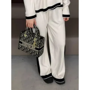 Premium Christan Dior Handbag With Og Box For Women (BSF1697) - stayhit.in
