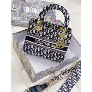 Premium Christian Dior Bag With Box For Women (SUP8150) - stayhit.in