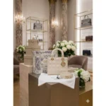 Premium Christian Dior Calf Handbag Leather With Magnetic Box For Women (BT289) - stayhit.in