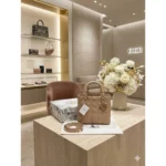 Premium Christian Dior Calf Handbag Leather With Magnetic Box For Women (BT289) - stayhit.in