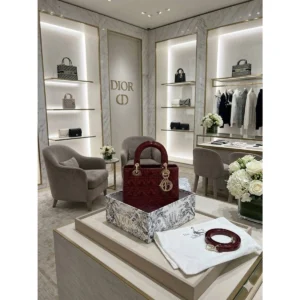 Premium Christian Dior Handbag Glossy With Magnetic Box For Women (BT291) - stayhit.in