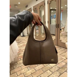 Premium Coach Lana Bag Khaki With Og Box Dust Bag For Women (BT299) - stayhit.in
