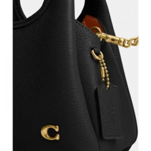 Premium Coach Lana Shoulder Bag With Box For Women (BOT2800) - stayhit.in