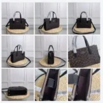 Premium Coach Mini Nina Tote Bag For Women (LAB809) - stayhit.in