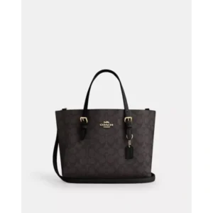 Premium Coach Mollie Leather Tote Bag With Dust Bag For Women (BOT4030) - stayhit.in