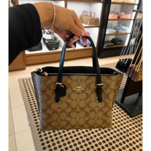 Premium Coach Mollie Tote Bag Apricot With Og Box Dust Cover For Women (BT244) - stayhit.in