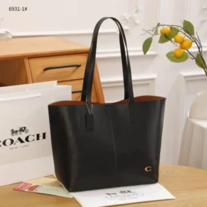 Premium Coach North Tote Bag With Dust Bag For Women (SOS413) - stayhit.in