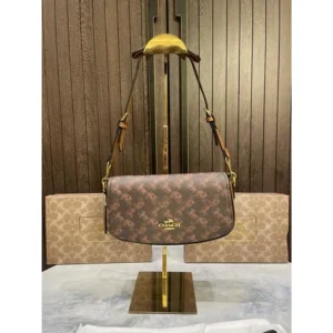 Premium Coach Shoulder Bag With Box For Women (SUP8251) - stayhit.in