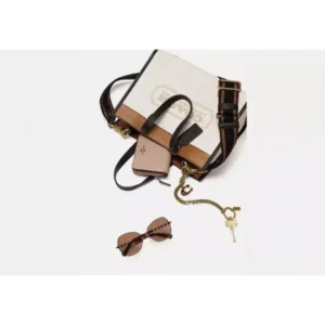 Premium Coach Signature Tote Bag For Women (LAB363) - stayhit.in
