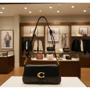 Premium Coach Small Jet Shoulder Bag With Og Box For Women (BOT2593) - stayhit.in