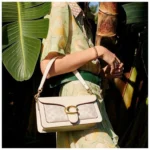Premium Coach Tabby Shoulder Bag With Og Box For Women (BOT2858) - stayhit.in