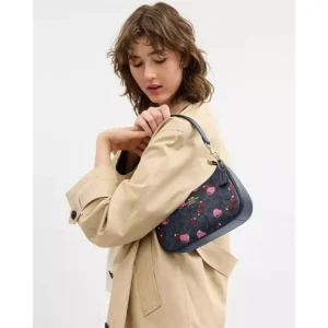 Premium Coach Teri 25 Shoulder Bag With Dust Cover For Women (BOT2595) - stayhit.in