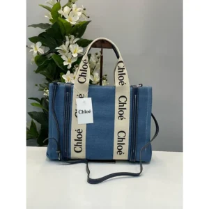 Stylish Chloe Handbag For Women (BOT1724) - stayhit.in