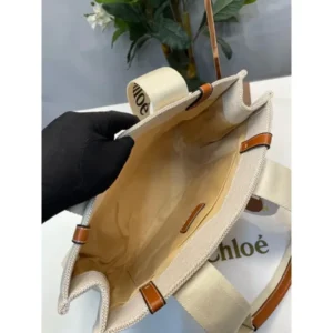 Stylish Chloe Handbag For Women (BOT1725) - stayhit.in