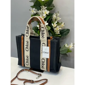 Stylish Chloe Handbag For Women (BOT1726) - stayhit.in