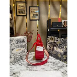 Stylish Christian Dior Handbag For Women (BOT1791) - stayhit.in