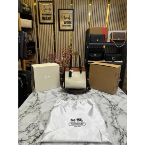 Stylish Coach Handbag For Women (BOT1743) - stayhit.in