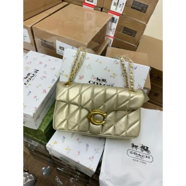 Stylish Coach Tabby Shoulder Bag With Box For Women (BOT3871) - stayhit.in