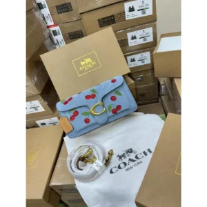 Stylish Coach Tabby Shoulder Bag With Box For Women (BOT4050) - stayhit.in