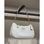 Stylish Coach Teri Shoulder Bag With Og Box For Women (BOT2613) - stayhit.in