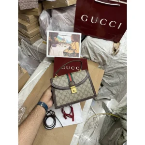 Stylish Gucci Gg Ophidia Bag With Double Box For Women (DW153) - stayhit.in