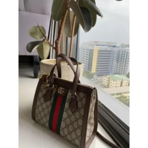 Stylish Gucci Ophidia Gg Tote Bag With Double Box For Women (BOT2606) - stayhit.in