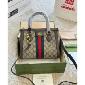 Stylish Gucci Ophidia Tote Bag For Women (BSF883) - stayhit.in