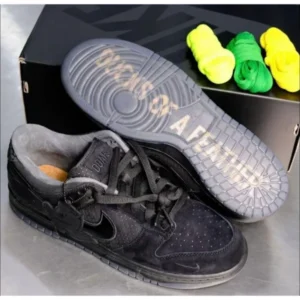 Imported Nike Sb Dunk Low Shoes Duck Of The Feather For Men (SUP2976) - stayhit.in