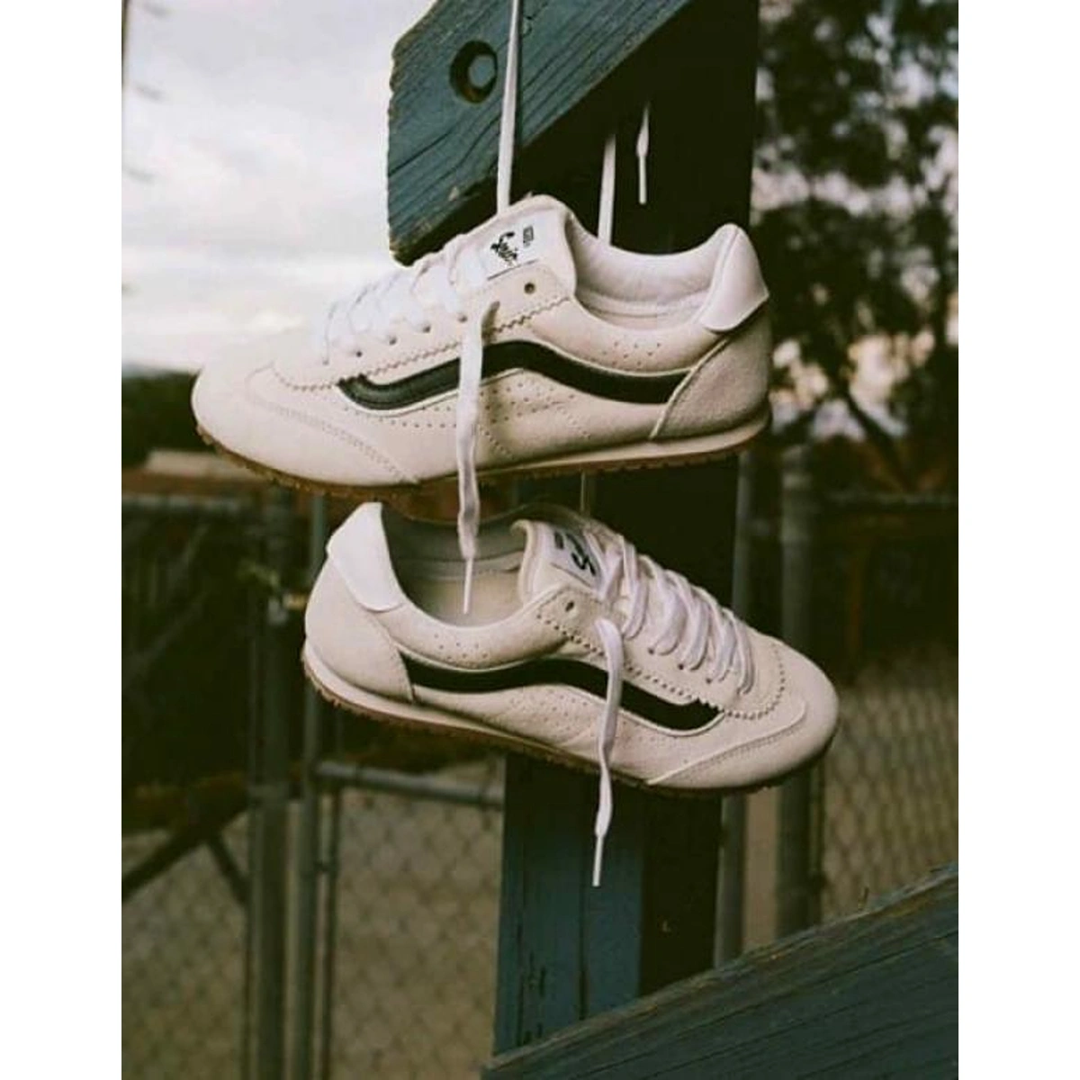 Imported Vans Super Low Shoes White For Men (SUP3085) - stayhit.in